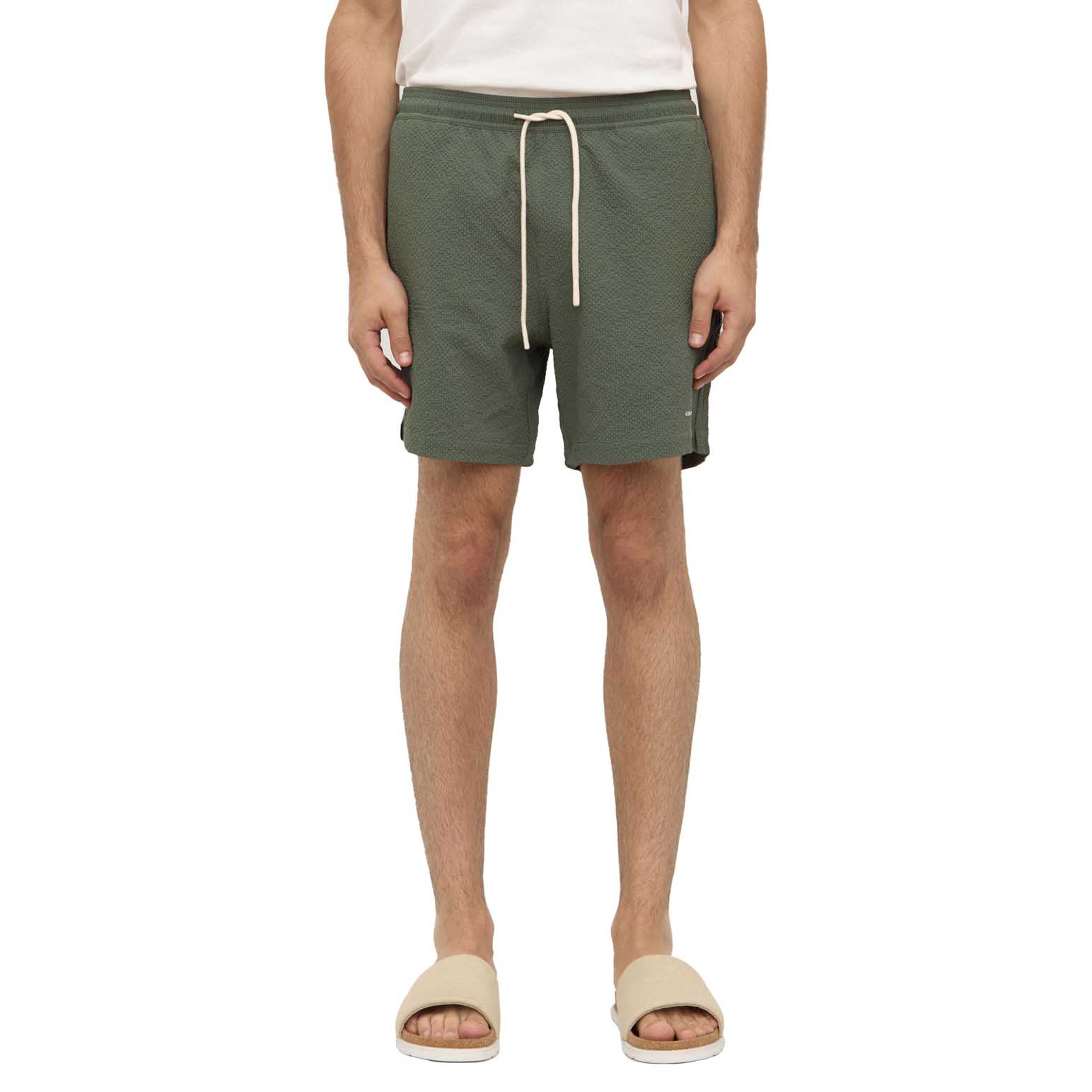 Assembly Label Seth Swim Short Hollow